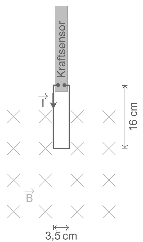 Skizze einer rechteckigen Drahtschleife an einem Kraftsensor, die in ein kreuzmarkiertes Magnetfeld geschoben wird, Maße 16 cm × 3,5 cm