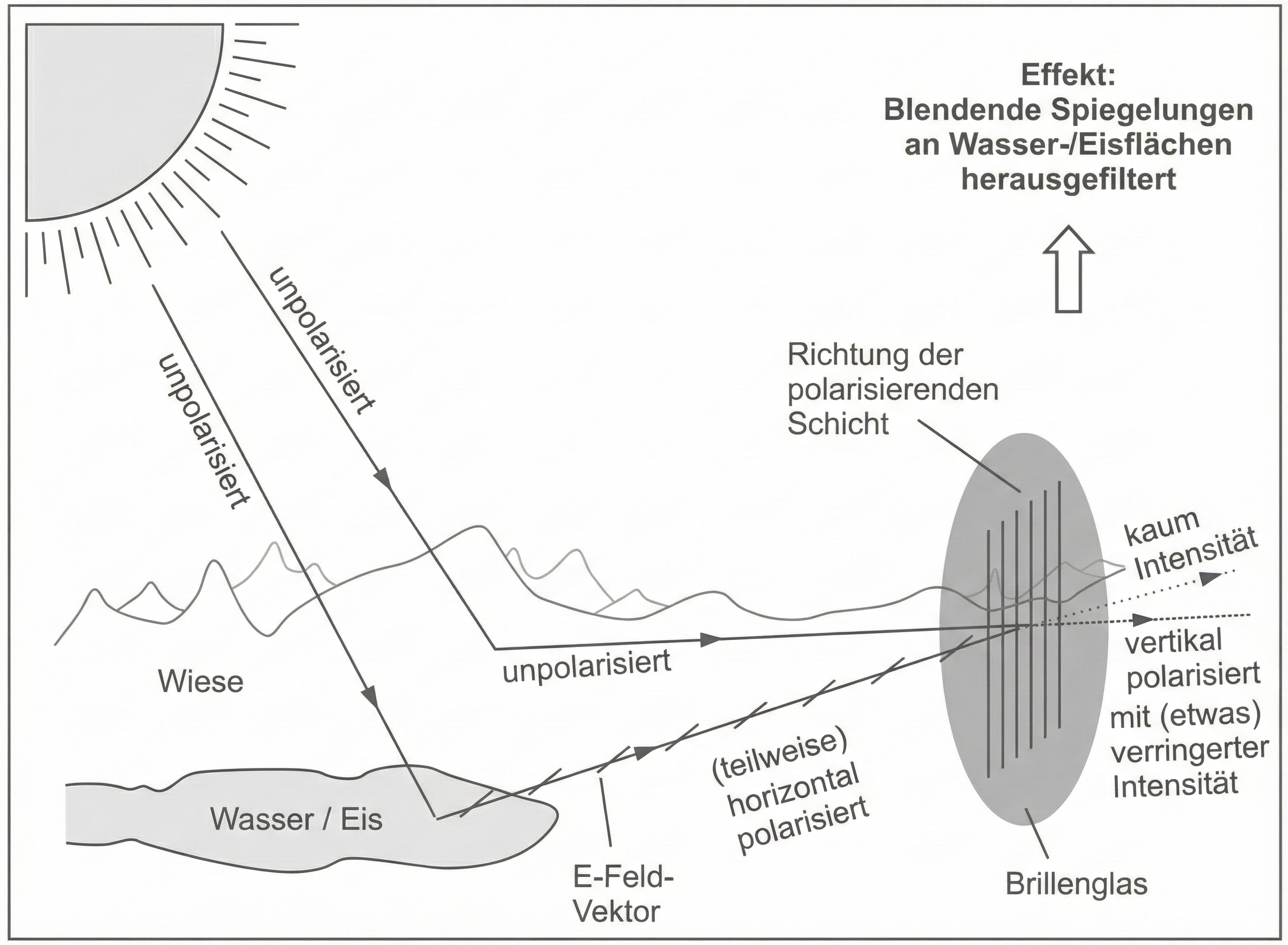 Schaubild der Funktionsweise einer polarisierenden Schicht