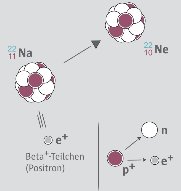 Schematische Darstellung von Beta+-Zerfall: 22Na → 22Ne, Emission eines Positrons (e+) und Umwandlung eines Protons in ein Neutron.