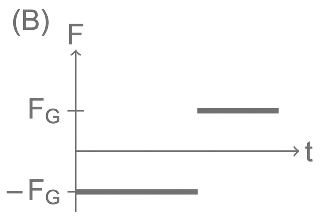 Kraft-Zeit-Diagramm: horizontale Balken bei -F_G (unten) und bei +F_G (oben), Zeitachse t