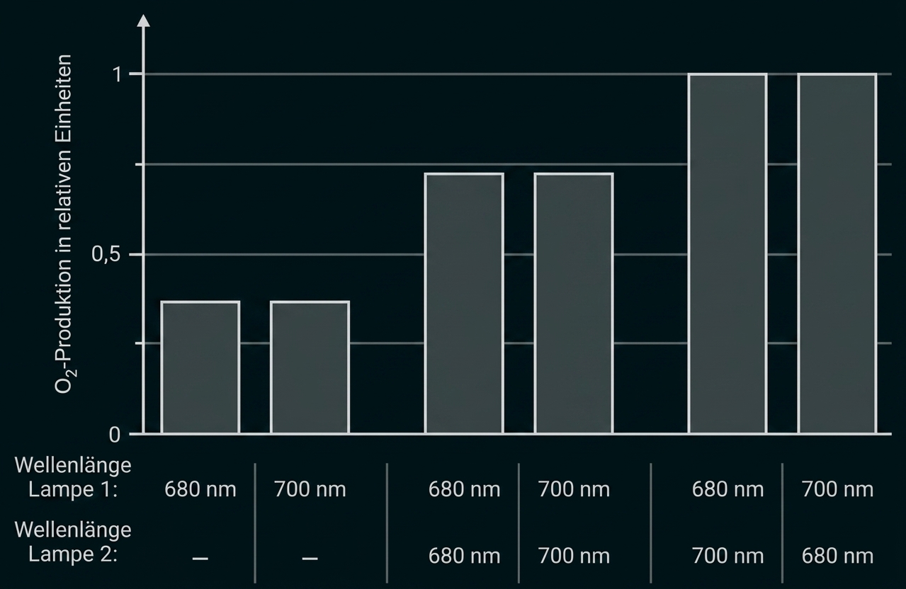 Balkendiagramm: relative O2-Produktion bei verschiedenen Lampenwellenlängen (680 nm und 700 nm)