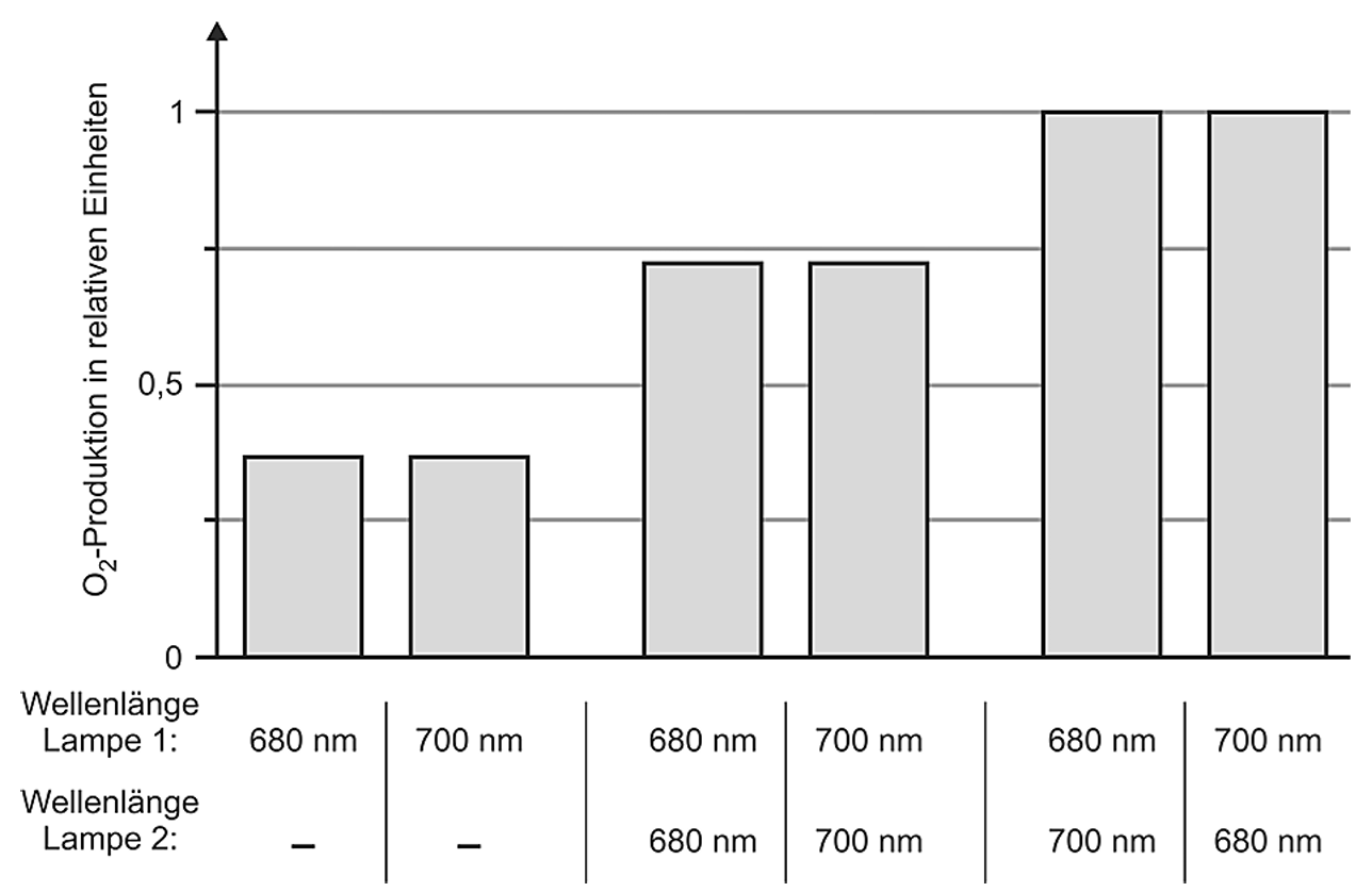 Balkendiagramm: relative O2-Produktion bei verschiedenen Lampenwellenlängen (680 nm und 700 nm)