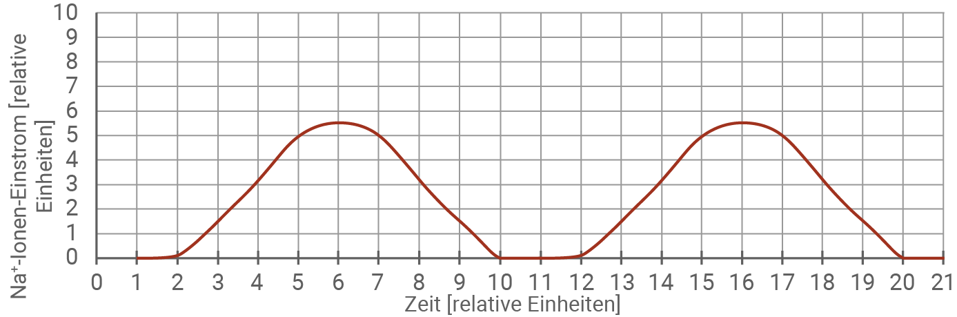Wirkung an einer Synapse ohne Zugabe der Toxine