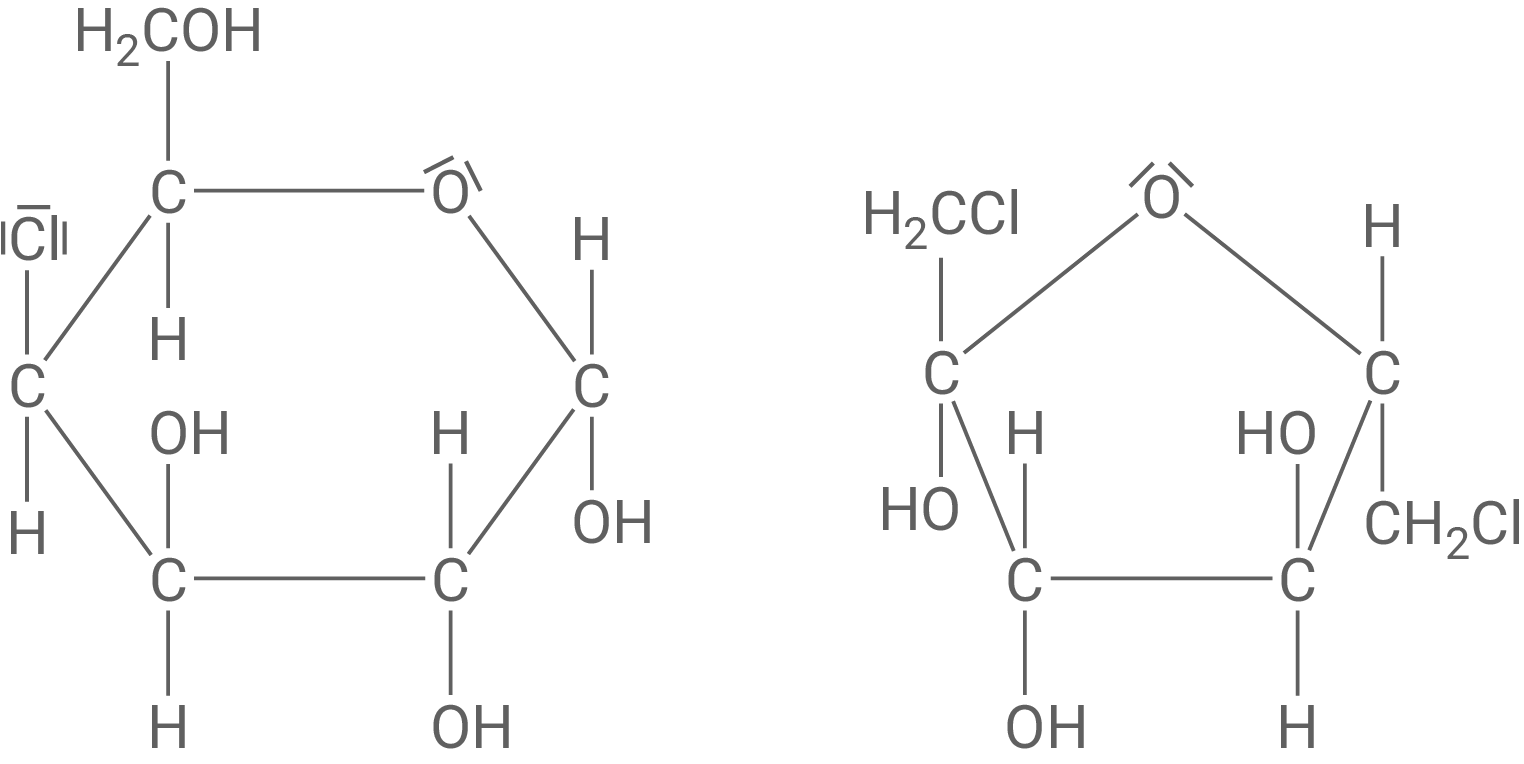 Haworth-Projektion Monomere von Sucralose
