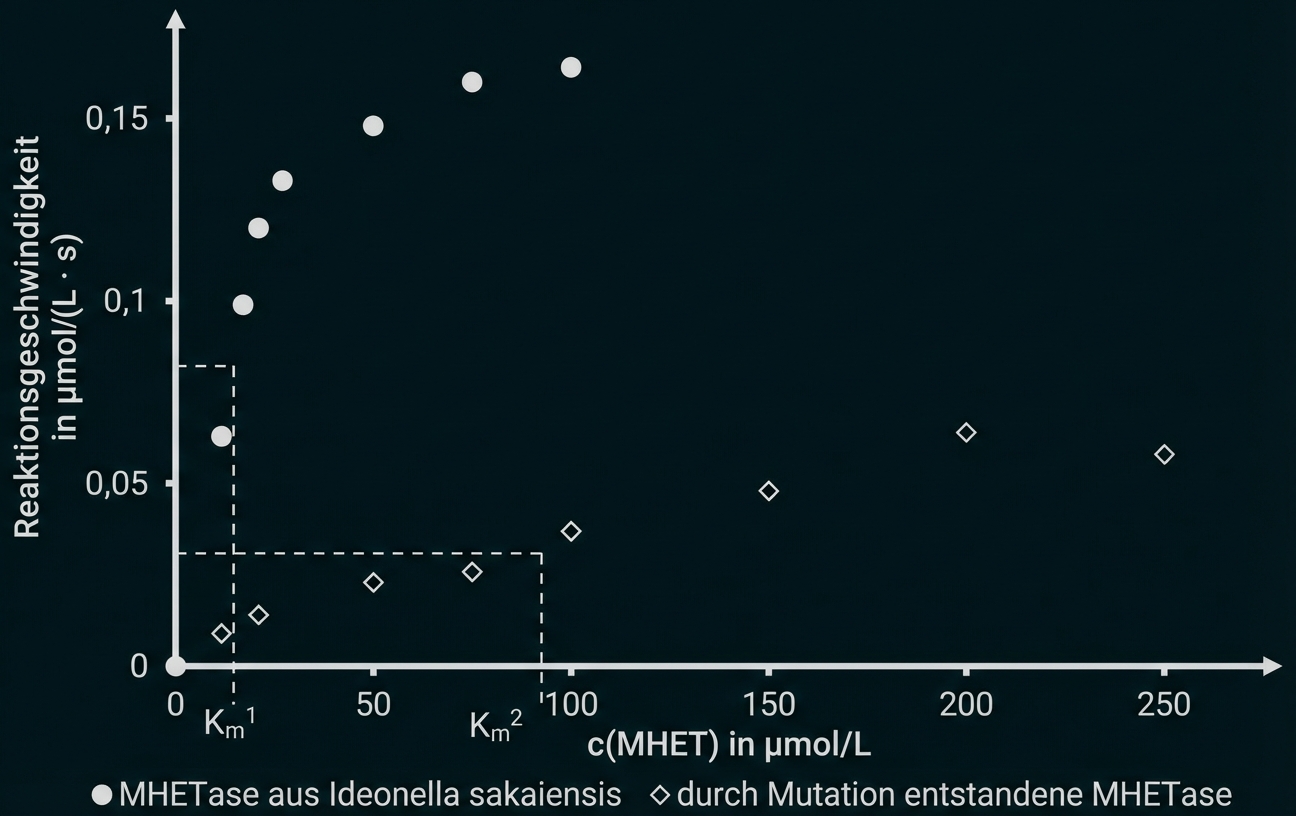 Streudiagramm: Reaktionsgeschwindigkeit vs c(MHET) mit Punkten für zwei Enzymvarianten und markierten Km-Werten.