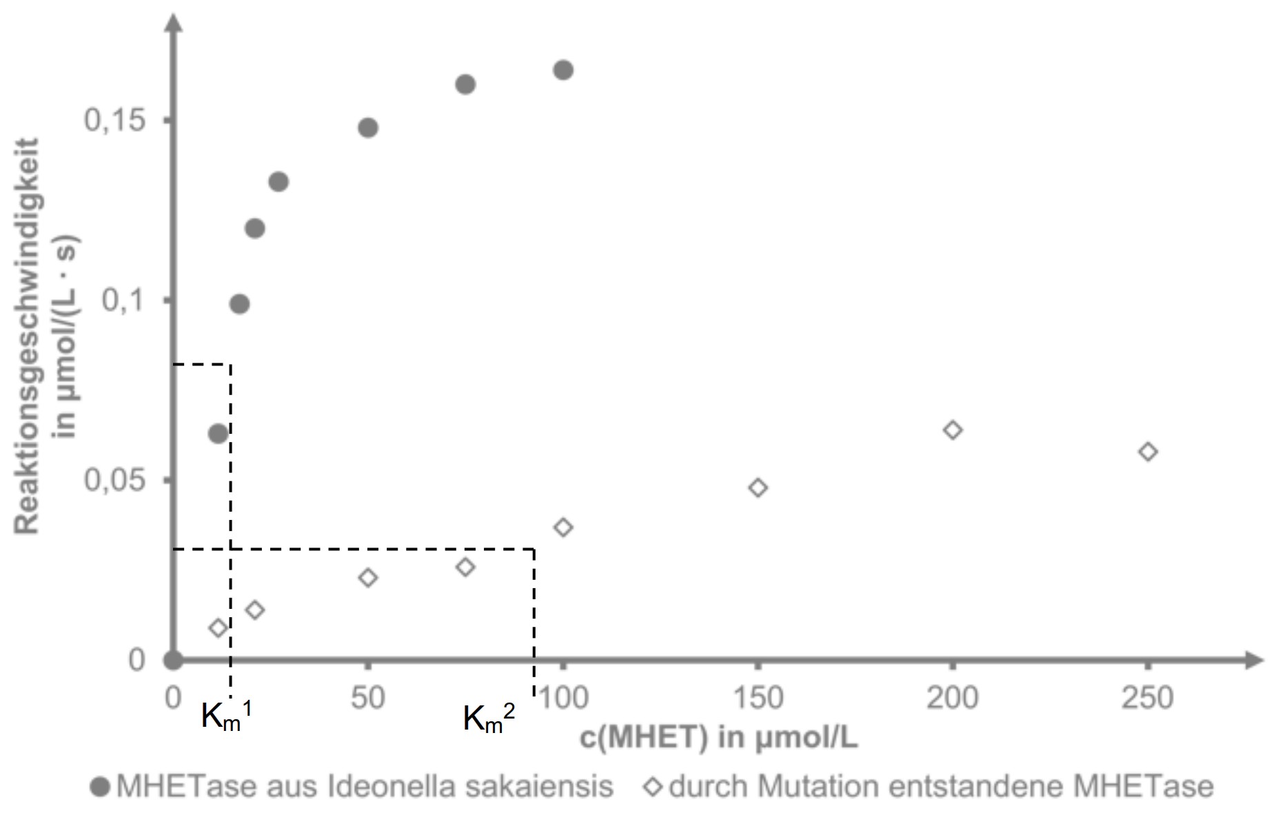 Streudiagramm: Reaktionsgeschwindigkeit vs c(MHET) mit Punkten für zwei Enzymvarianten und markierten Km-Werten.