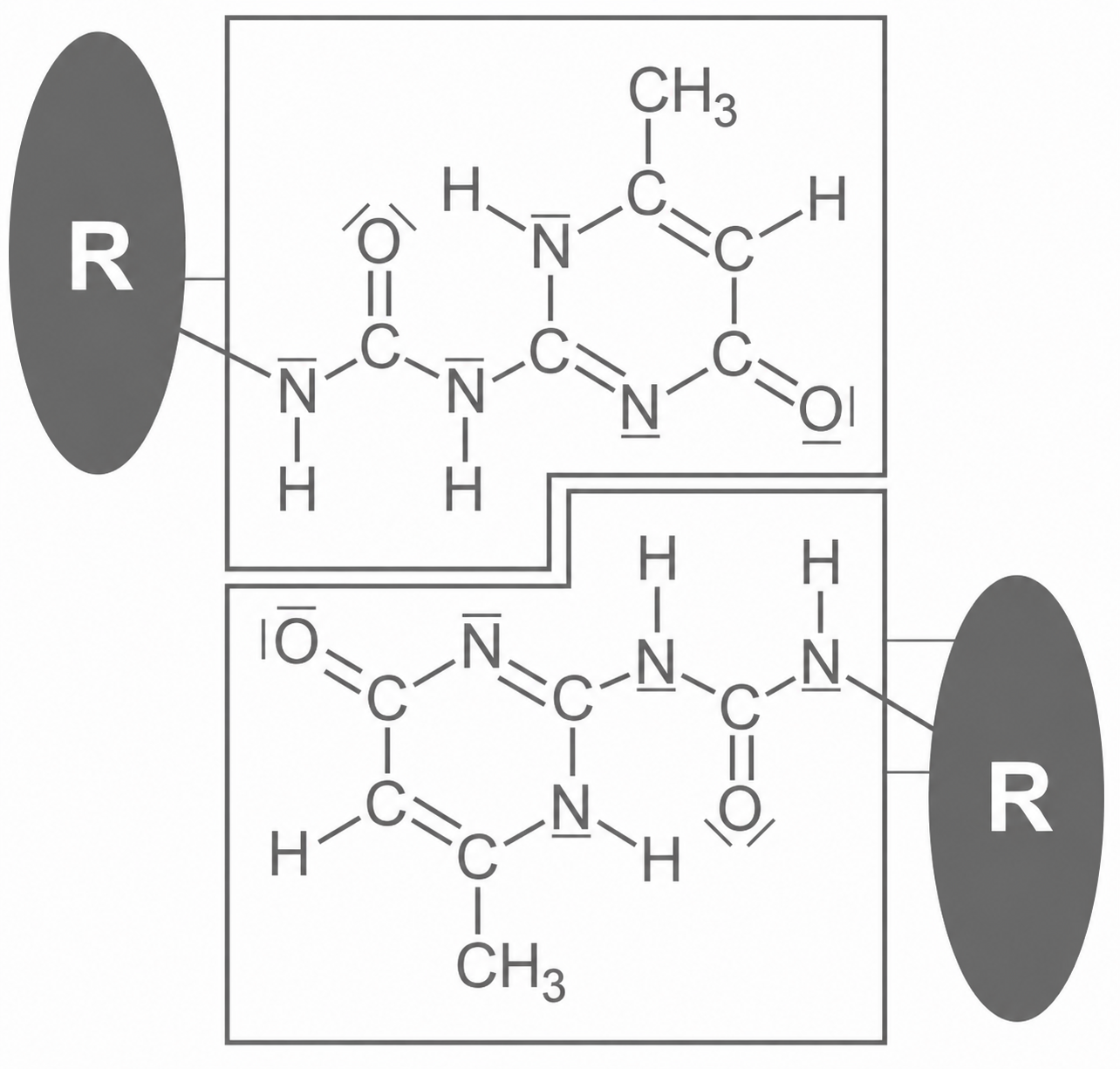 Strukturformel und schematische Darstellung eines R-UPy-Dimers