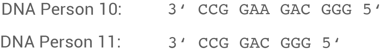 Funktionenschar