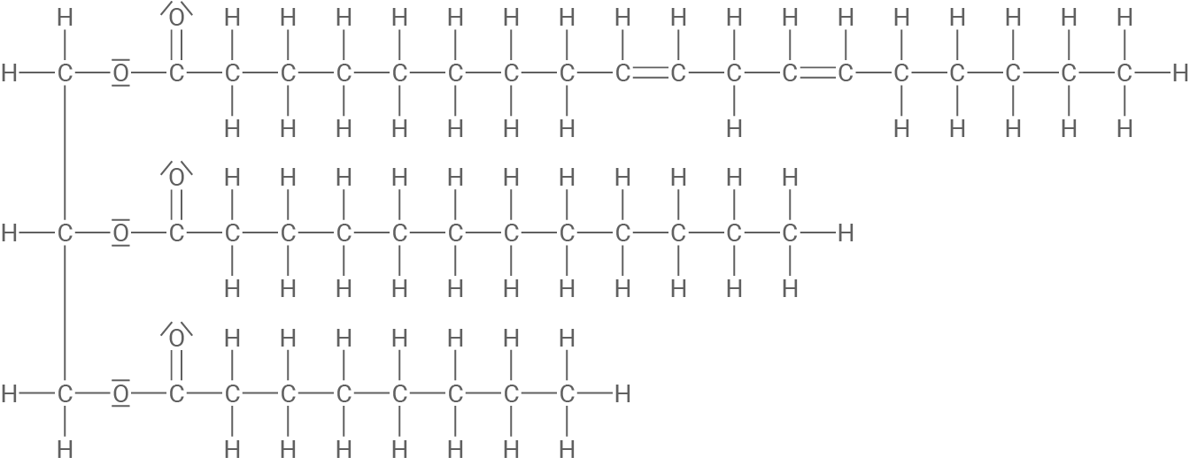 Triglycerid-Molekül Kokosöl