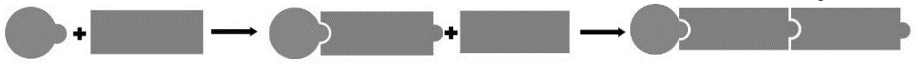 Schematische Darstellung einer Reaktion mit Bausteinen und Pfeilen.