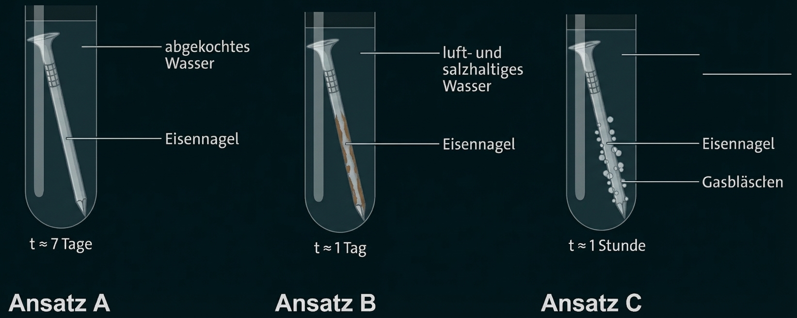 Drei Reagenzgläser mit Eisennägeln: A abgekochtes Wasser (kein Rost), B salzhaltiges Wasser (Rost), C mit Gasbläschen (schnelle Reaktion)