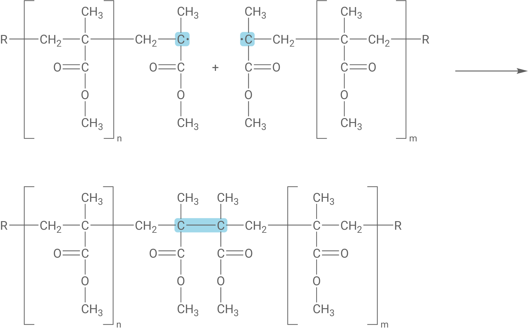 Radikalische Polymerisation Kettenabbruch MMA-Radikal und MMA-Radikal mobile
