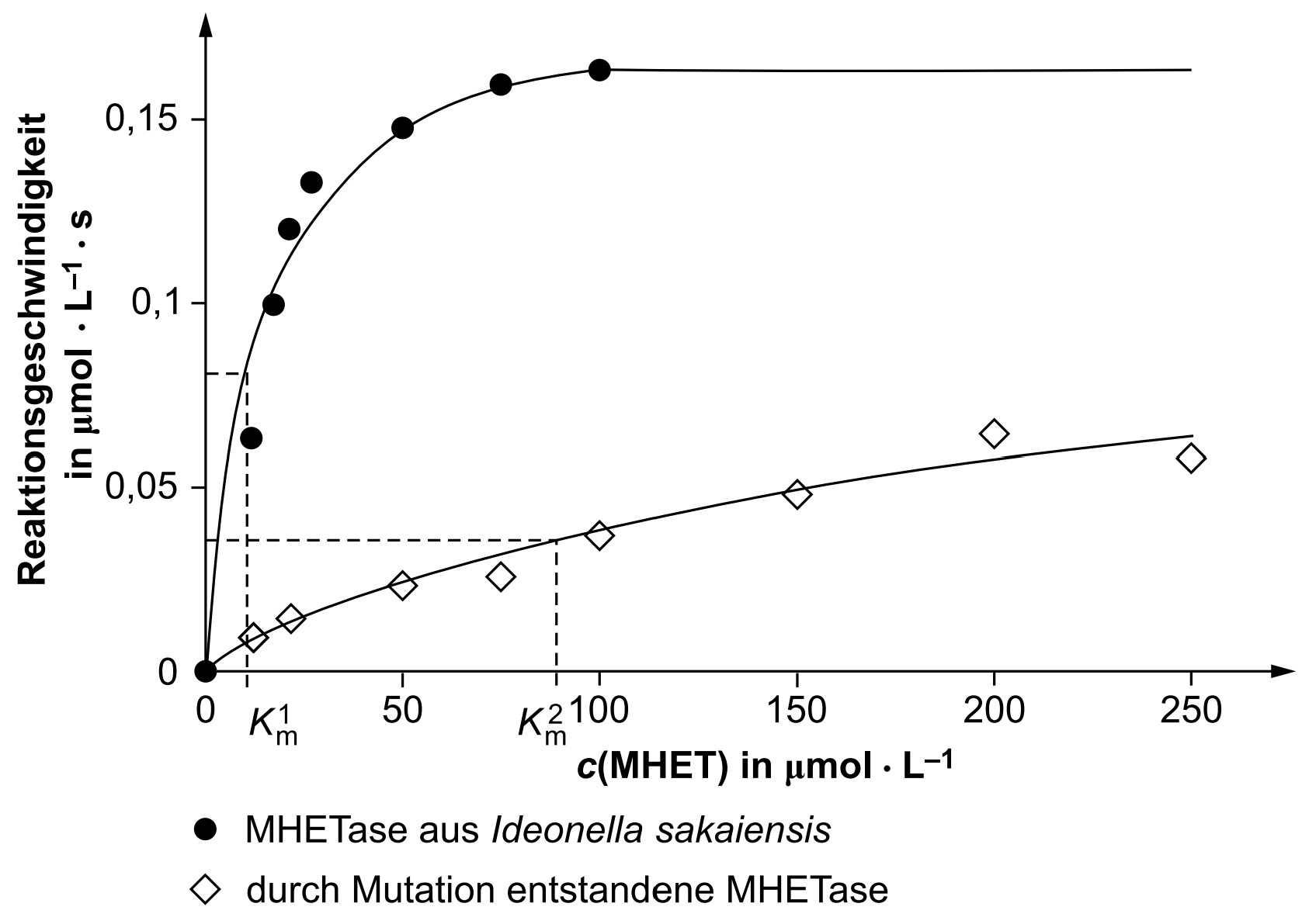 Grafik: Reaktionsgeschwindigkeit gegen MHET-Konzentration, Vergleich wildtypische MHETase (gefüllte Punkte) und mutierte Variante (Rauten)
