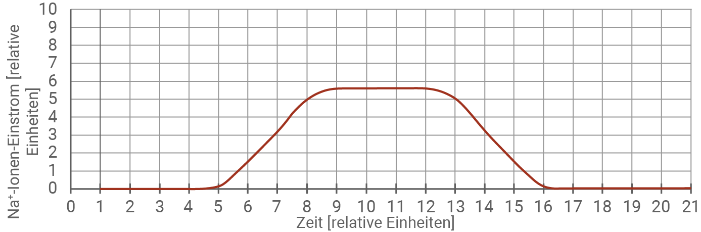 Wirkung an einer Synapse mit beta - Natx Zugabe der Toxine