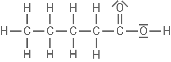 Chemische Strukturformel eines organischen Moleküls mit Kohlenstoff- und Sauerstoffatomen.