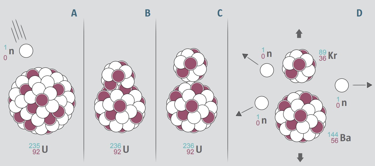Simplifiziertes Schema: Kernspaltung von Uran durch Neutronen, Entstehung von Krypton, Barium und freien Neutronen.