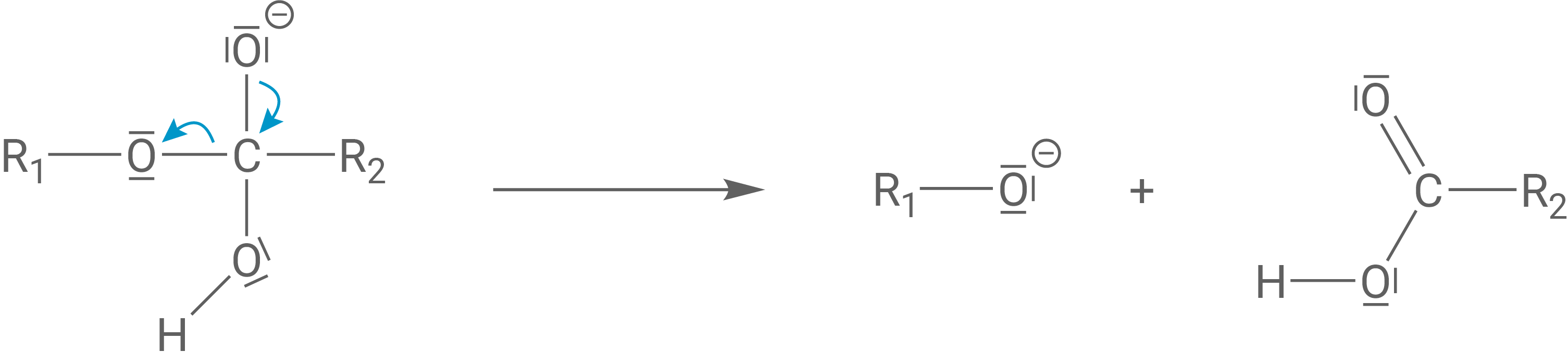 Alkalische Hydrolyse Triglycerid Schritt 2 Eliminierung des Alkoholat-Ions
