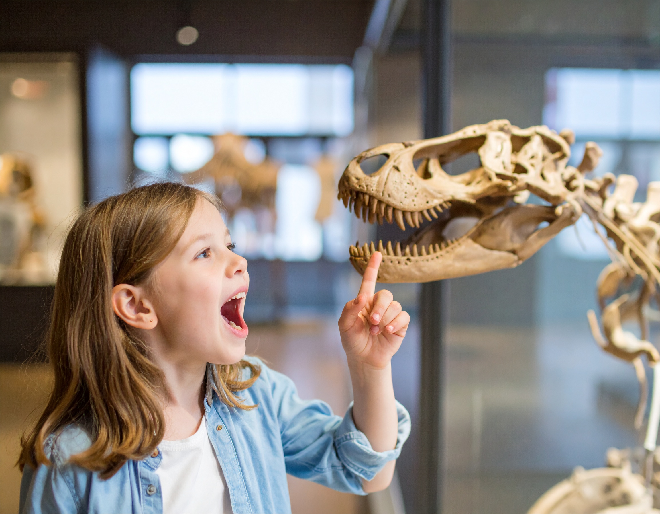 Ein Mädchen zeigt begeistert auf ein Dinosaurierskelett im Museum.