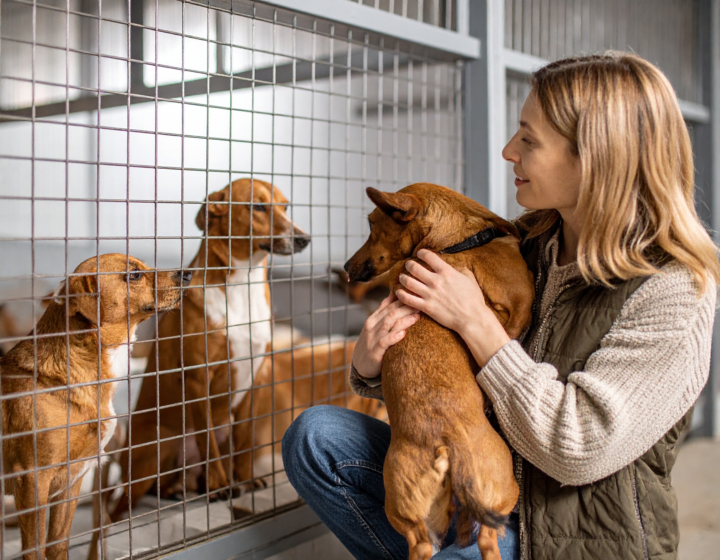 Frau mit Hund in einem Tierheim, umgeben von weiteren Hunden hinter einem Gitter. Freundliche Interaktion sichtbar.