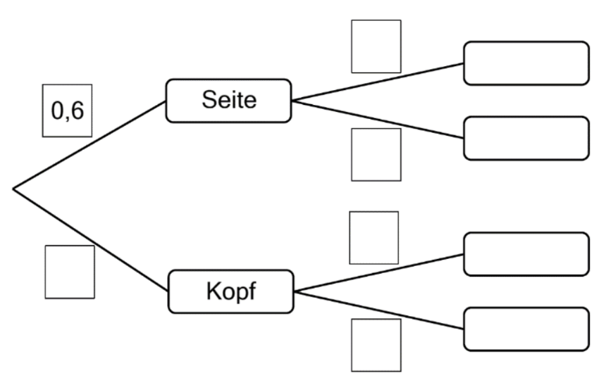 Baumdiagramm mit den Merkmalen Seite und Kopf sowie Wahrscheinlichkeitsfeldern.
