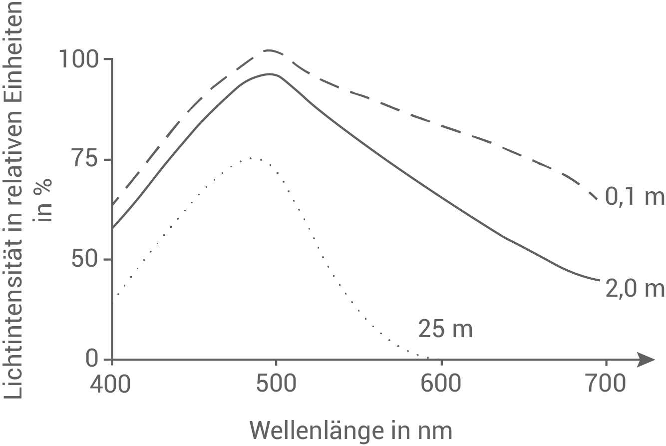 Diagramm zur Lichtintensität in Abhängigkeit von Wellenlängen und Tiefen.