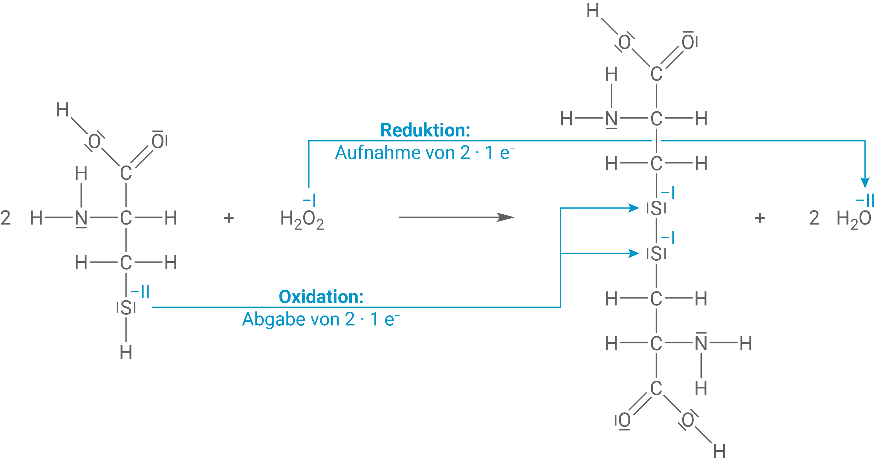 Redoxreaktion Haare Dauerwelle Cystein mit Wasserstoffperoxid zu Cystin Disulfid