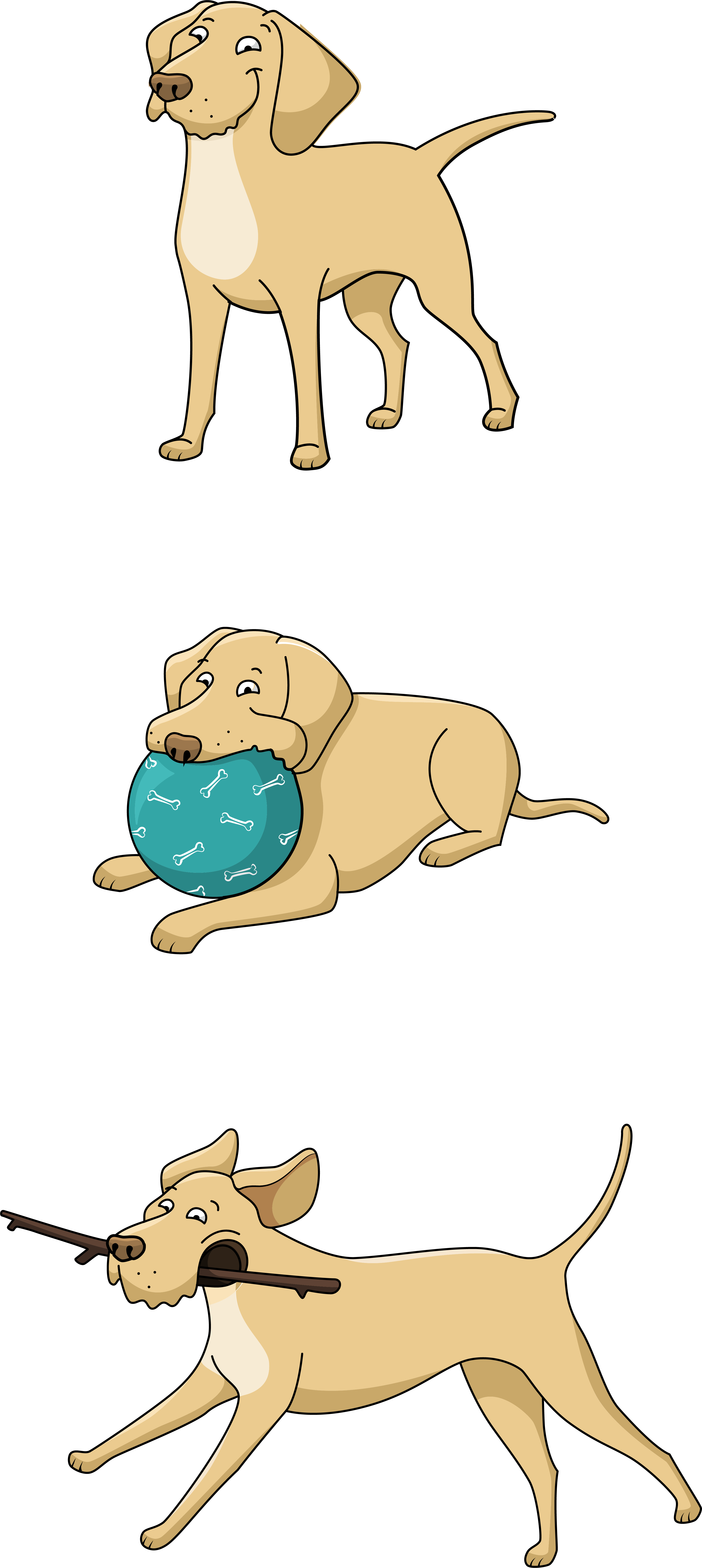 franzoesisch bw rsa 2023 d3