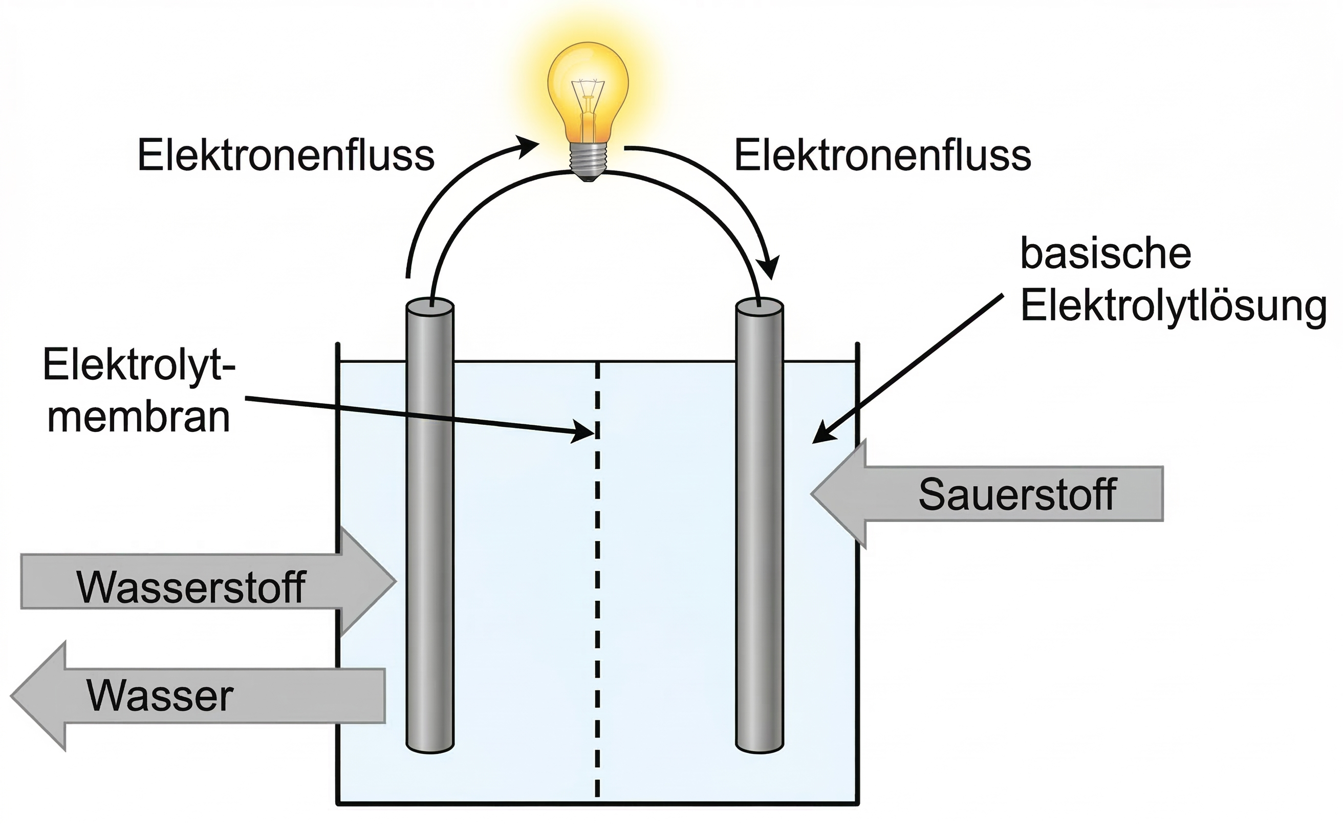 Schematische Elektrolysezelle mit Membran, zwei Elektroden, Wasserstoff- und Sauerstoffausgang sowie dargestelltetm Elektronenfluss
