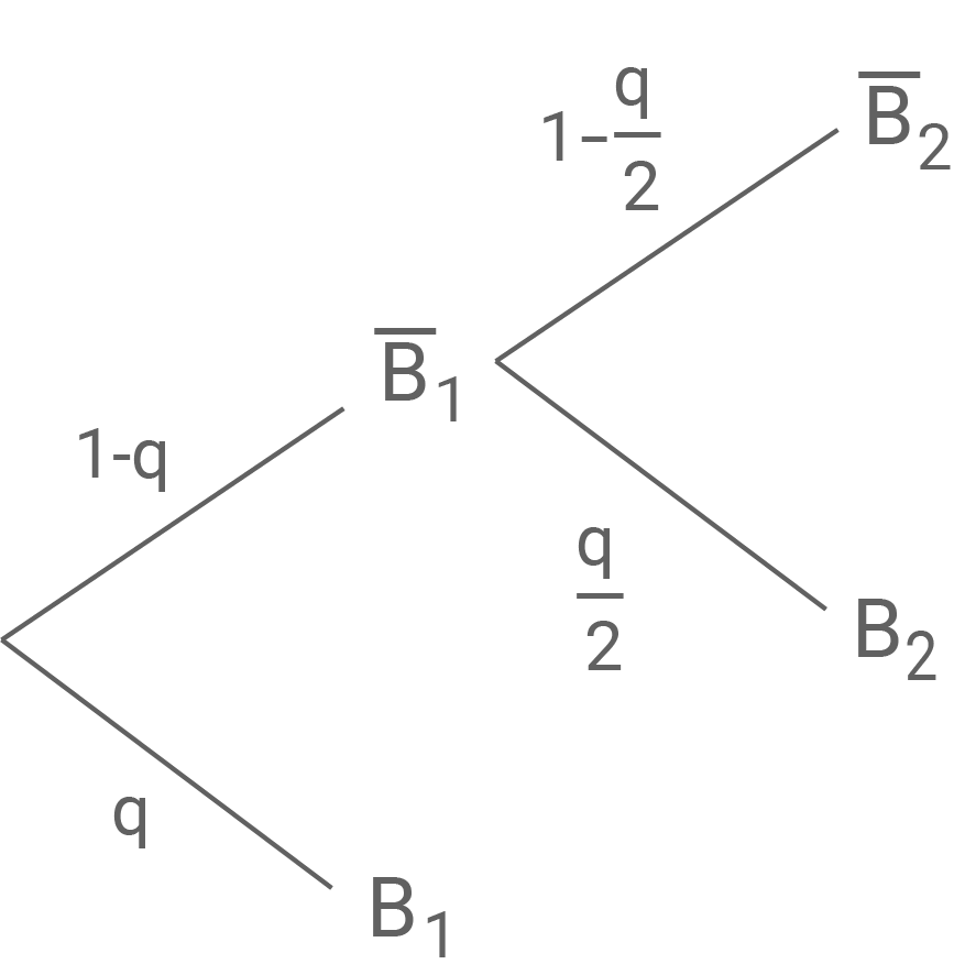 Fuehrerschein Prüfung Baumdiagramm