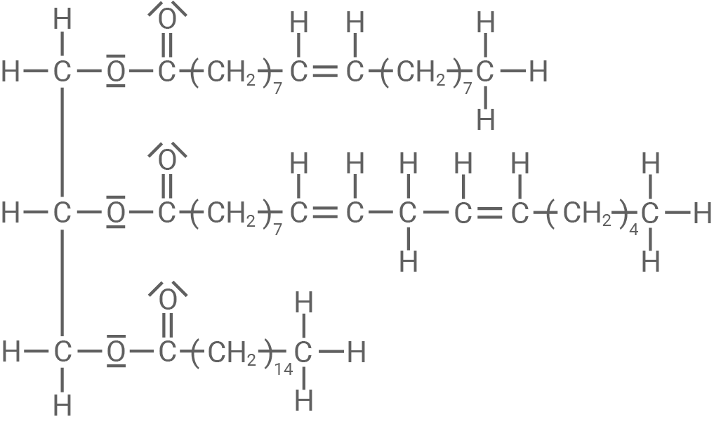 hessen chemie abi gk 2021 aufgabe 2 abbildung 1 triglycerid