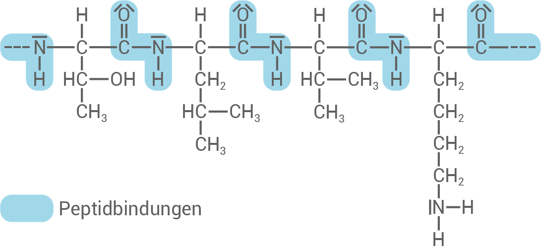 hessen chemie abi gk 2023 loesung a2 5