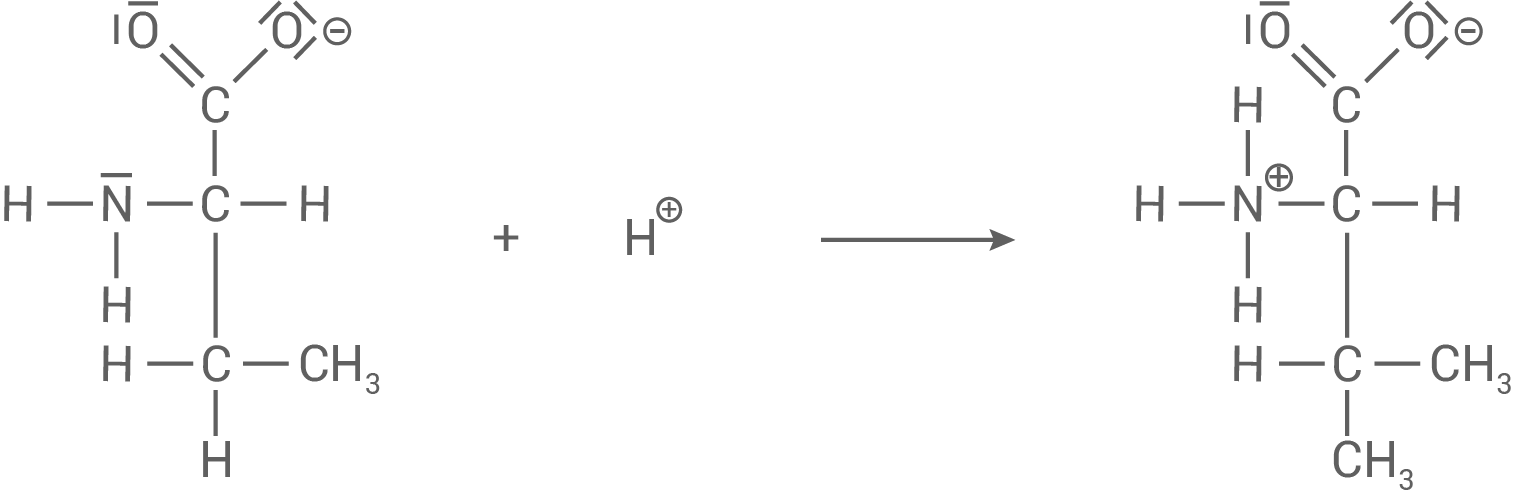hessen chemie abi lk 2022 loesung a1 abbildung 2.1