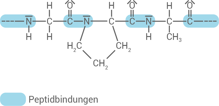 hessen chemie abi lk 2024 loesung b1