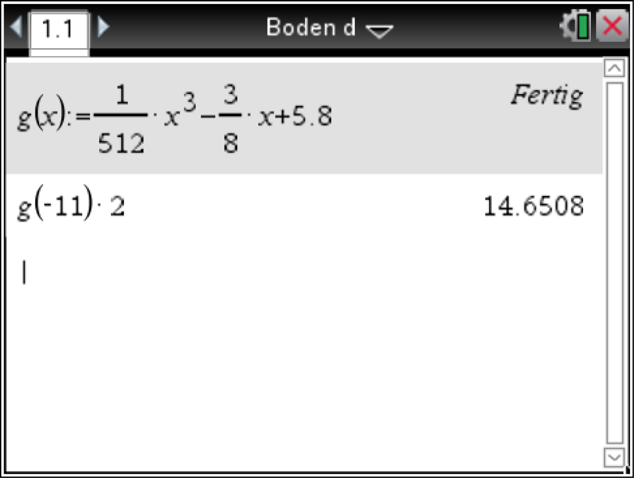 Mathematische Berechnung in einem Software-Interface mit Funktion g(x) und Ergebnissen.