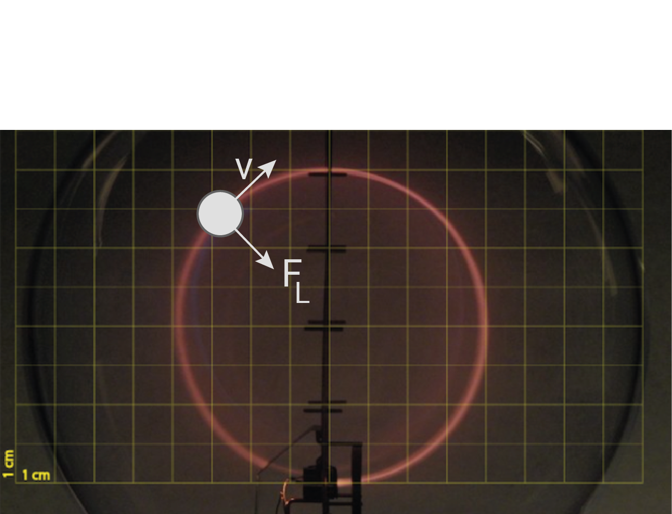 Lorentzkraft in Richtung der Kreismitte 