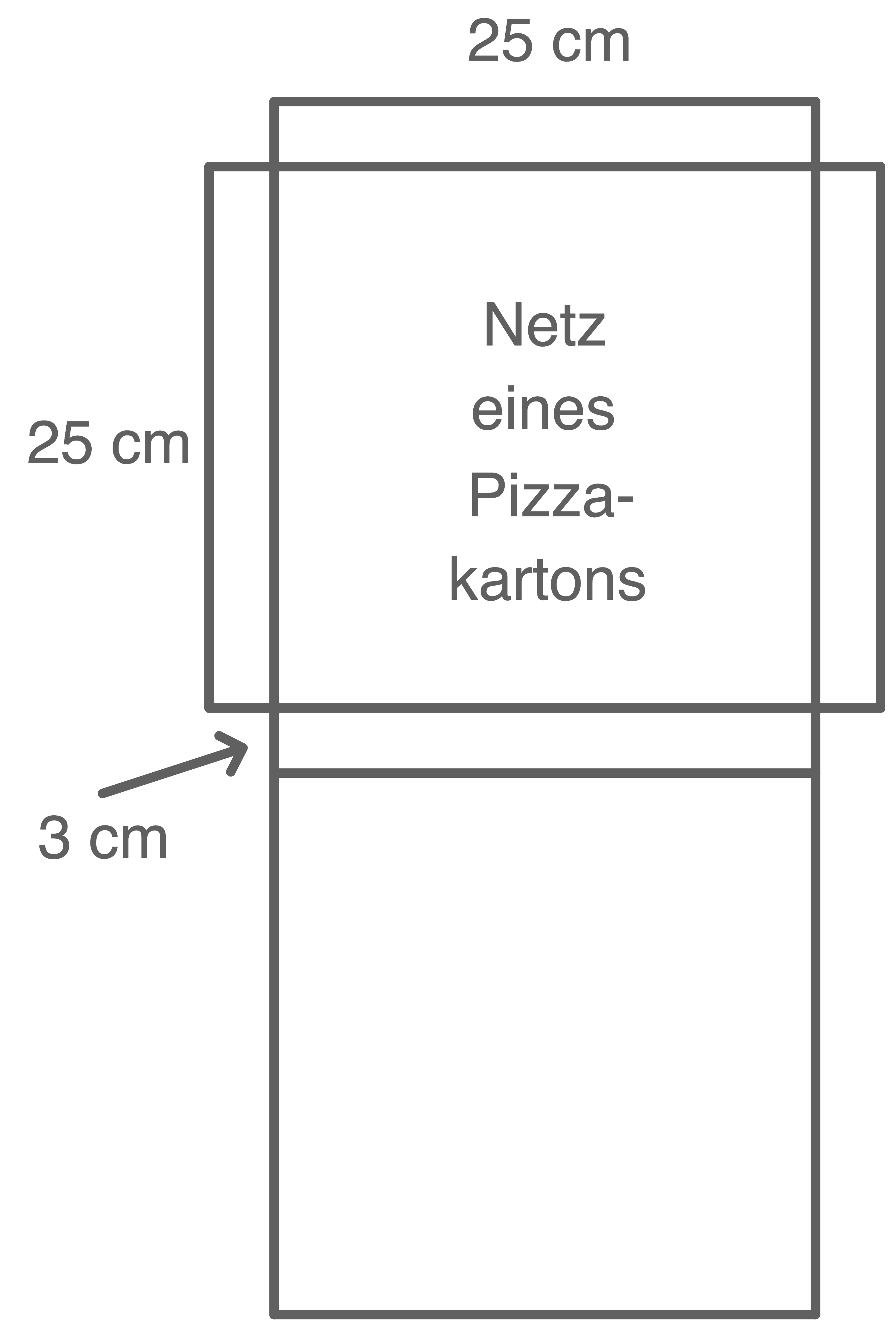 HSA 2017 BAWÜ Pizzakarton
