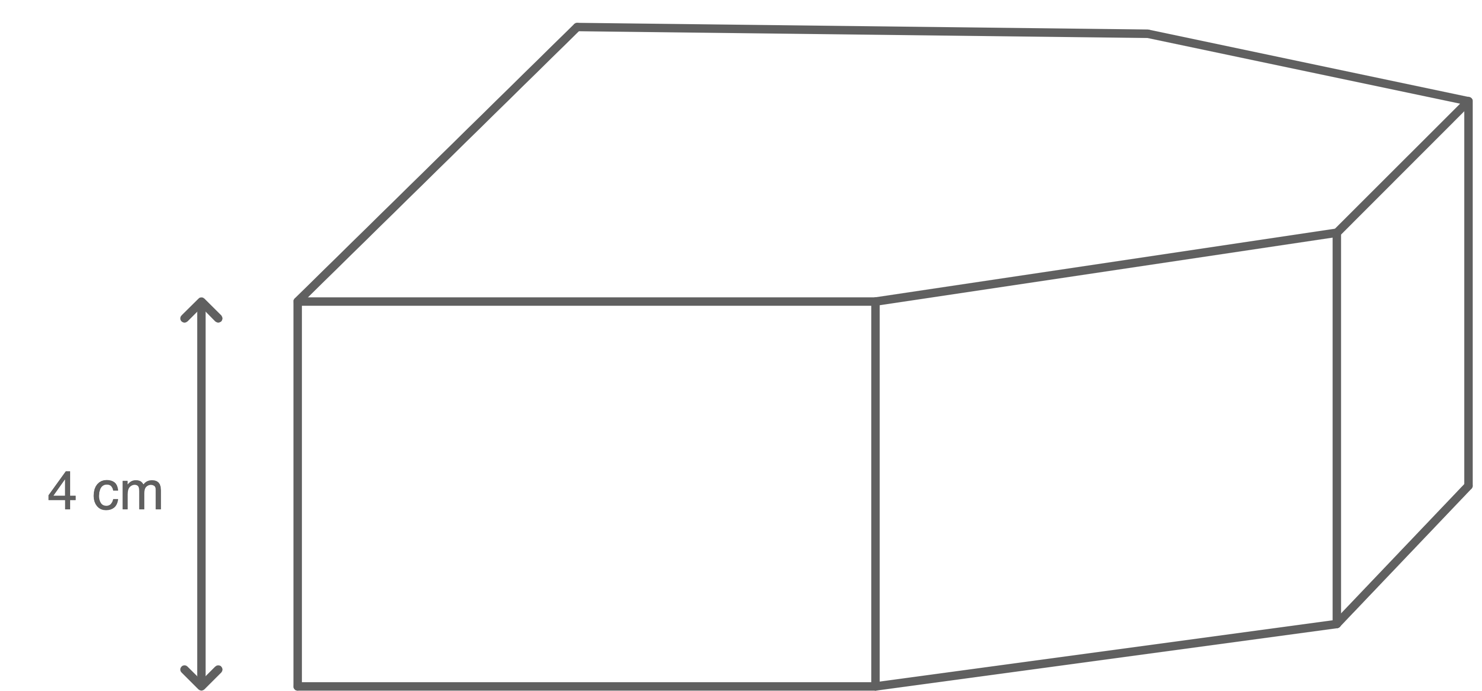 HSA 2023 BAWÜ Schrägbild Länge 