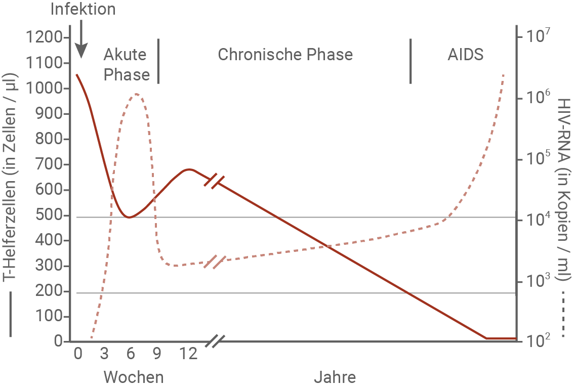 sachsen anhalt bio abi ea 2024 material 4 zur aufgabe 4 hiv und aids