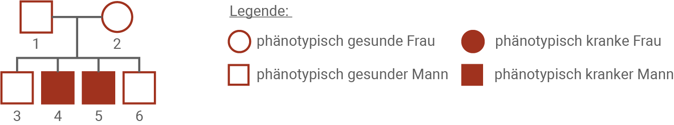 sachsen anhalt bio abi ea 2024 v2 material 4 zur aufgabe 2 a stammbaum einer familie