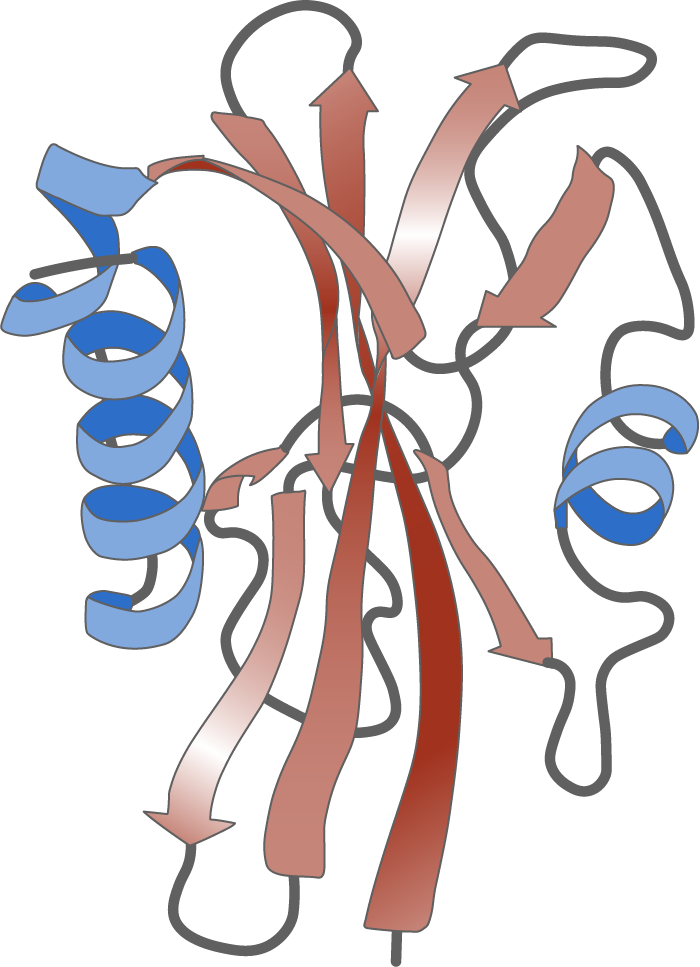 baden württemberg bio basiswissen biomoleküle proteine tertiärstruktur