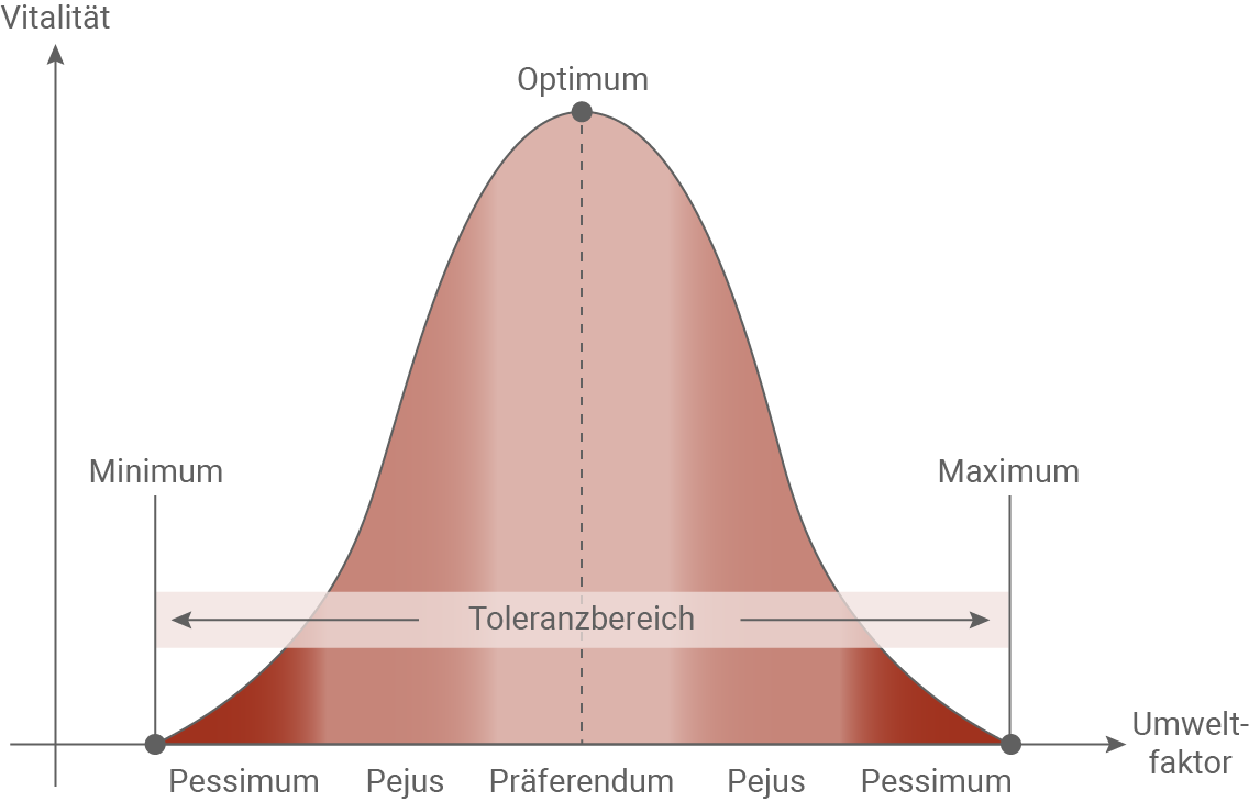 baden württemberg bio basiswissen ökologie ökosysteme toleranzkurve