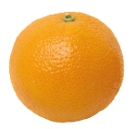 Eine frische, orangefarbene Orange auf weißem Hintergrund.
