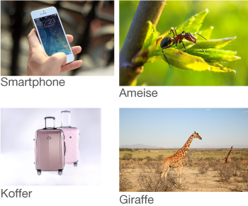 Collage mit Smartphone, Ameise, Koffer und Giraffe.