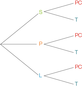 Diagramm mit einer Verzweigung für S, P und L, die jeweils mit PC und T verbunden sind.