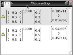 Matrixberechnungen in einer Softwareanwendung mit Warnsymbolen und Ergebnissen in Tabellenform.