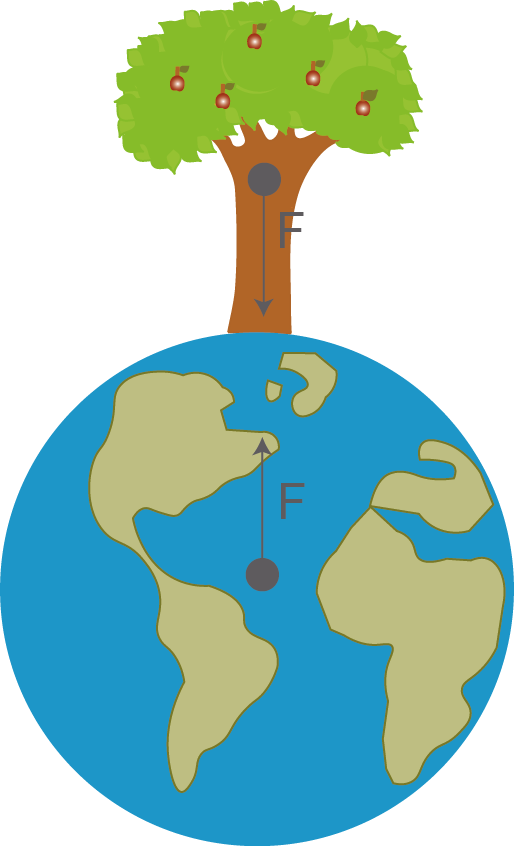 Mechanik: Gravitation (Digitales Schulbuch Physik)